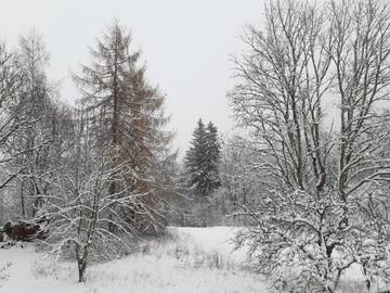 Фото Загородные дома Klusuma kabatas (Kalna Sklaubas, Cesvaines novads) г. Kārzdaba 2