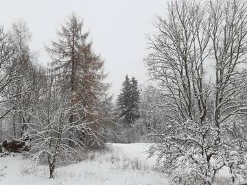 Фото номера Трехместный номер с общей ванной комнатой Загородные дома Klusuma kabatas (Kalna Sklaubas, Cesvaines novads) г. Kārzdaba 16